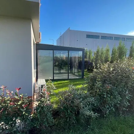 Golden Pearl Of Luxury -